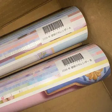 벽걸이 달력 AB 2개 세트 2026년 노기자카46