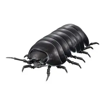 생물대도감 어드밴스 공벌레 (캡슐판) [새상품] 가챠