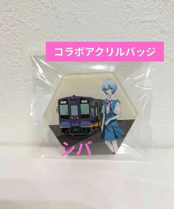 아야나미 레이 아크릴 배지 에반게리온 하마마츠