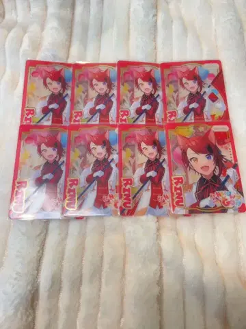 스토푸리 리이누 패밀리 컬렉션 8장