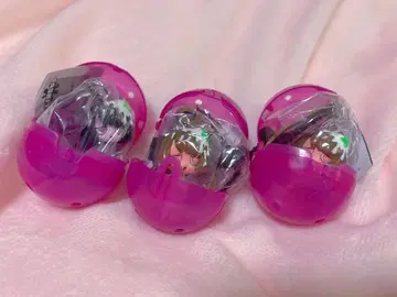 윌스위츠 컬러풀 멀티 참