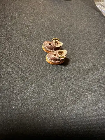 미니 브라이스 신발