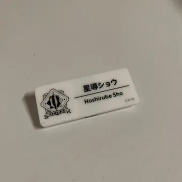 호시미치 쇼 네임 배지 니지 페스티벌