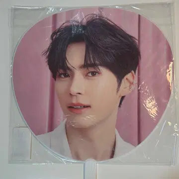 제베원 한빈 부채