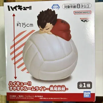 하이큐!! 스야스야 룸 라이트