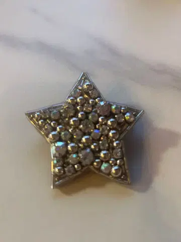 Loulou 별 모양 브로치 크리스탈 장식