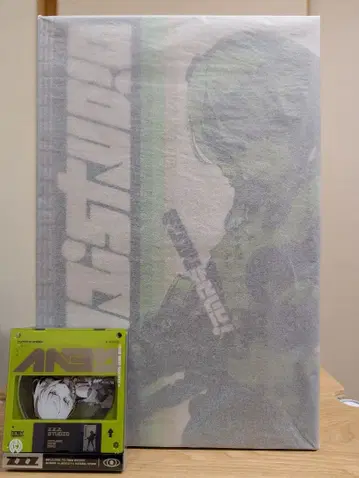 [ 젠레스 존 제로 (Zenless Zone Zero) 안비 데마라 ]