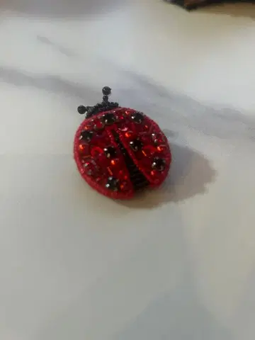 loulou 비즈 장식 무당벌레 브로치
