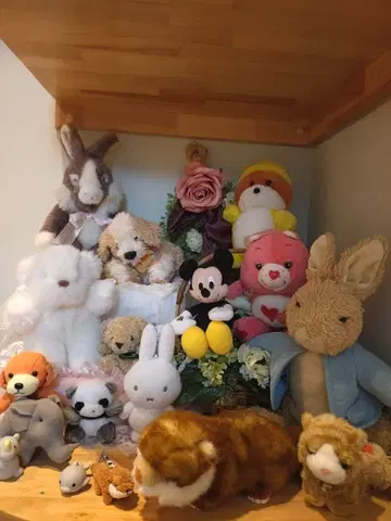 봉제 인형 묶음 판매