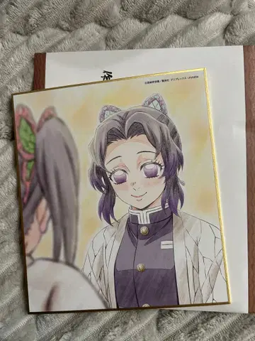 귀멸 전집중전 미니 색지 코쵸우 시노부