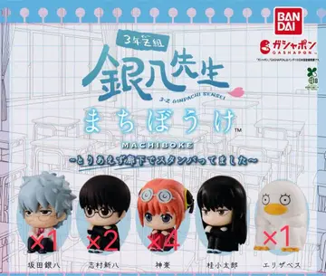 긴파치 선생님 기다림 가챠 세미 컴프