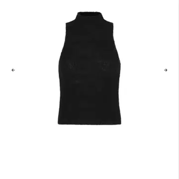 amoment Sheer Sleeveless Top