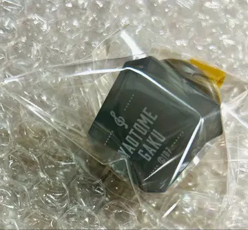 아이나나 야오토메 가쿠 링 라이트