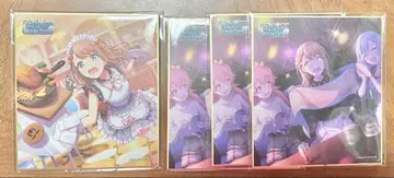 하나사토 미노리 미니 색지 10C