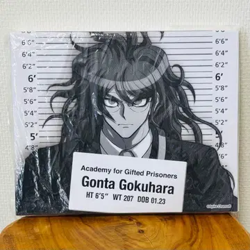 뉴 단간론파 V3 라쿠텐 컬렉션 A상 캔버스 아트 고쿠하라 곤타