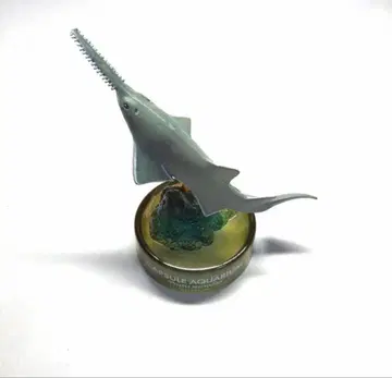 노코기리에이 일본 수족관 입체 생물 도감 카이요도 가챠가챠