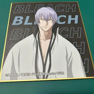BLEACH 트레이딩 미니 색지 이치마루 긴