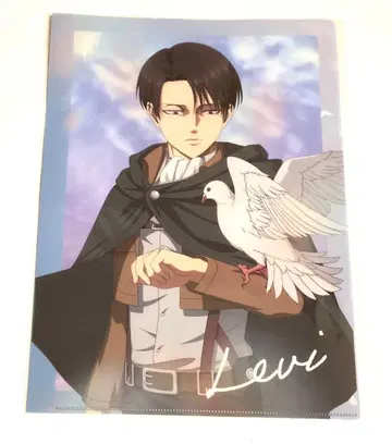 진격의 거인 리바이 클리어 파일 세트 HICUL