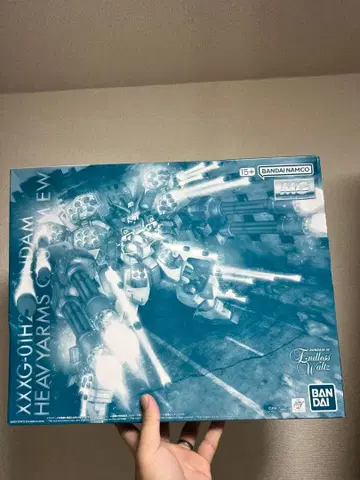 MG 1/100 건담 헤비암즈 개 EW