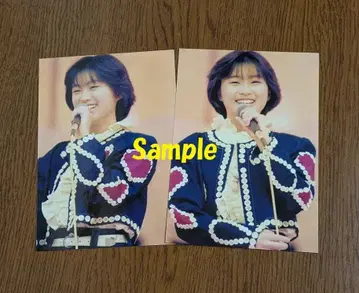 사카이 노리코 브로마이드 레어 세트 2장!