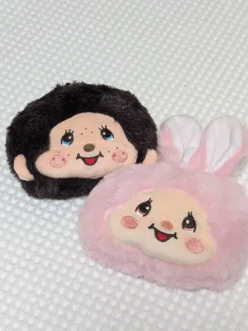 몽치치 페이스 패스케이스