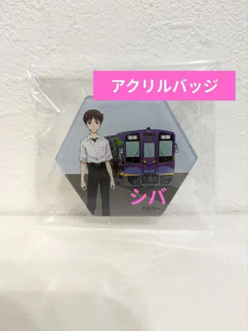 이카리 신지 아크릴 배지 에반게리온 하마마츠 텐하마선 양봉장