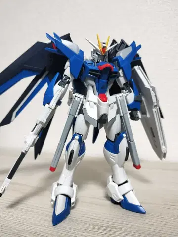 HG 라이징 프리덤