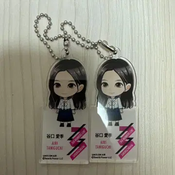 타니구치 아이리 아크릴 키링 엔니치 사쿠라자카46