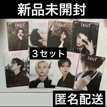 straykids 스키즈 accordion 아코디언 미개봉 트레이딩 카드