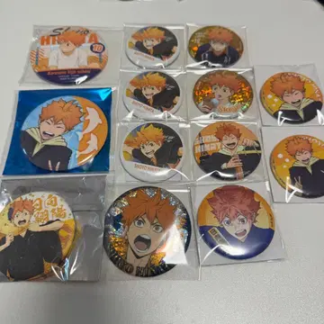 히나타 쇼요 캔뱃지 모음