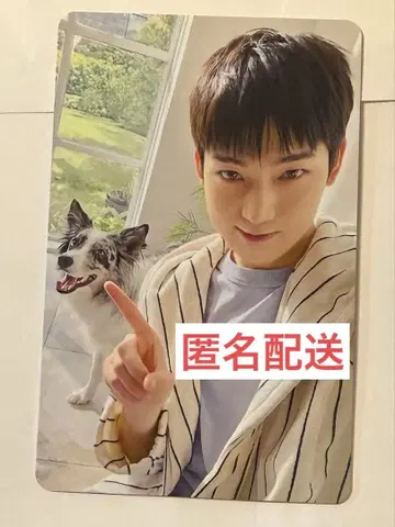 ENHYPEN 설문 조사 혜택