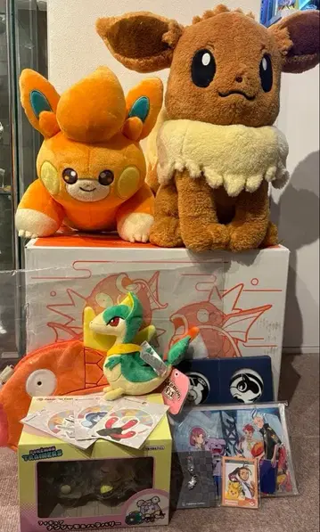 반짝반짝 박스 2026 파모 이브이 외