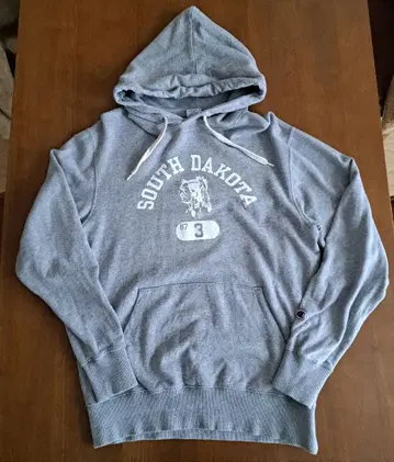 챔피온 후드티 SOUTH DAKOTA