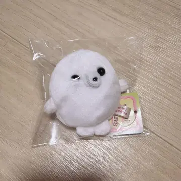 [ 미니콩 ] 물개