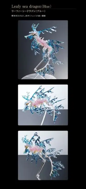 리피 해룡 블루 생물대도감 프리미엄 카이요도 피규어