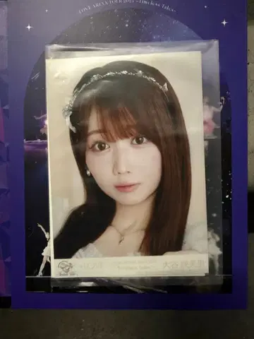 오타니 에미리 봉입 원반