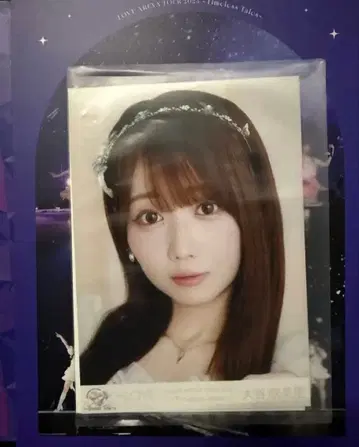 오타니 에미리 봉입 원반