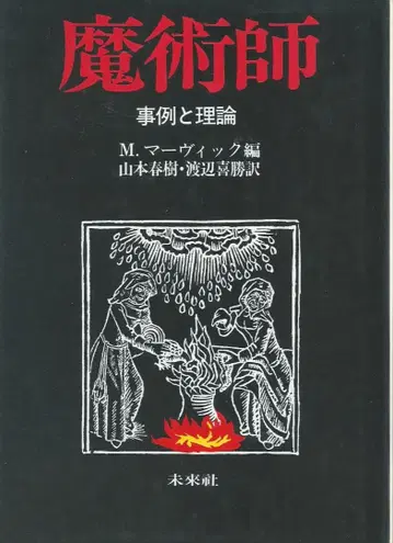 마술사 사례와 이론