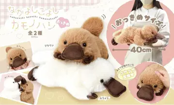 사이좋게 지내자 오리너구리 빅 사이즈 봉제 인형 브라운