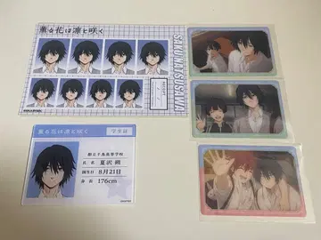 향기로운 꽃은 늠름하게 피어난다 나츠사와 사쿠