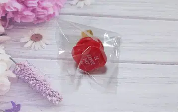 아이나나 10주년 링라이트 린라이 텐