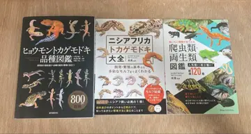 파충류 양서류 도감 세트