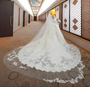 웨딩 베일 & 그로브 세트