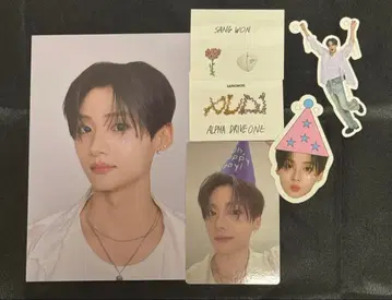 ALD1 FC 키트 산원 전 세트