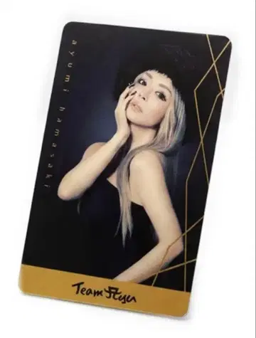 하마사키 아유미 TA 여권