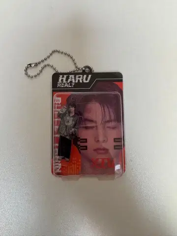 초특급 하루 REAL? 블리스터 키링