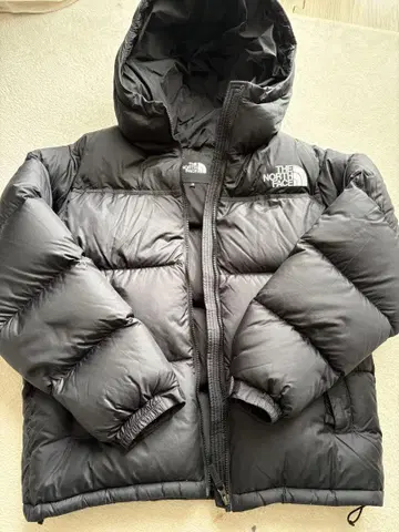 THE NORTH FACE 다운