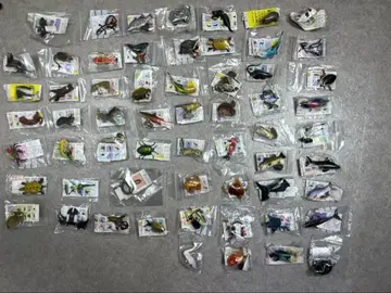 Furuta 일본 동물 곤충 컬렉션 60종 모음