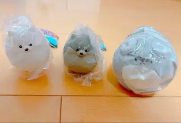 새상품*파리포메라이트2~키릿~(화이트 그레이) 소프트 내추럴 포메라니안