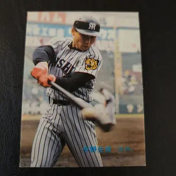 카루비 야구 카드 89년 No.162 나카노 사시 (한신)